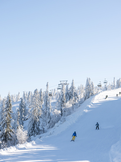 Skidakning Grupp DSC1537